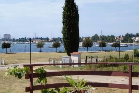 Murin Delfin Umag Exteriér fotografie