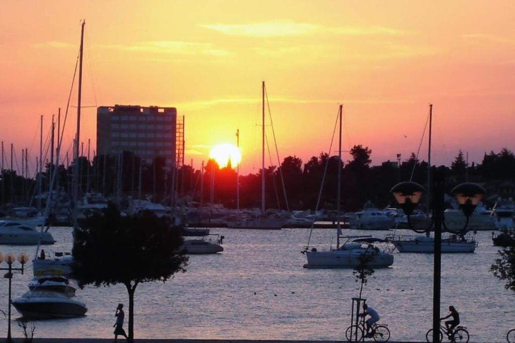Murin Delfin Umag Exteriér fotografie