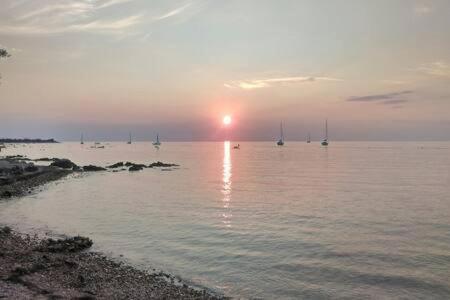 Murin Delfin Umag Exteriér fotografie